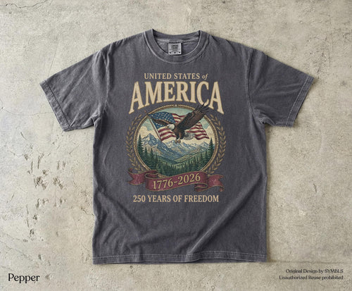 America 250th Anniversary 90s Comfort Colors Y2k Oversized Patriotic Usa Streetwear (2)