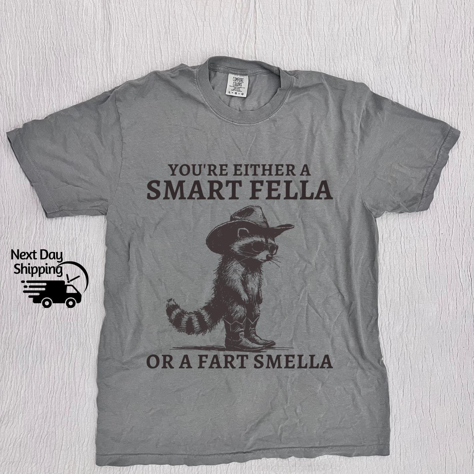 Retro Smart Fella Raccoon 90s Raccoon Vintage Vintage 90s Washed Vintage Distressed (3)