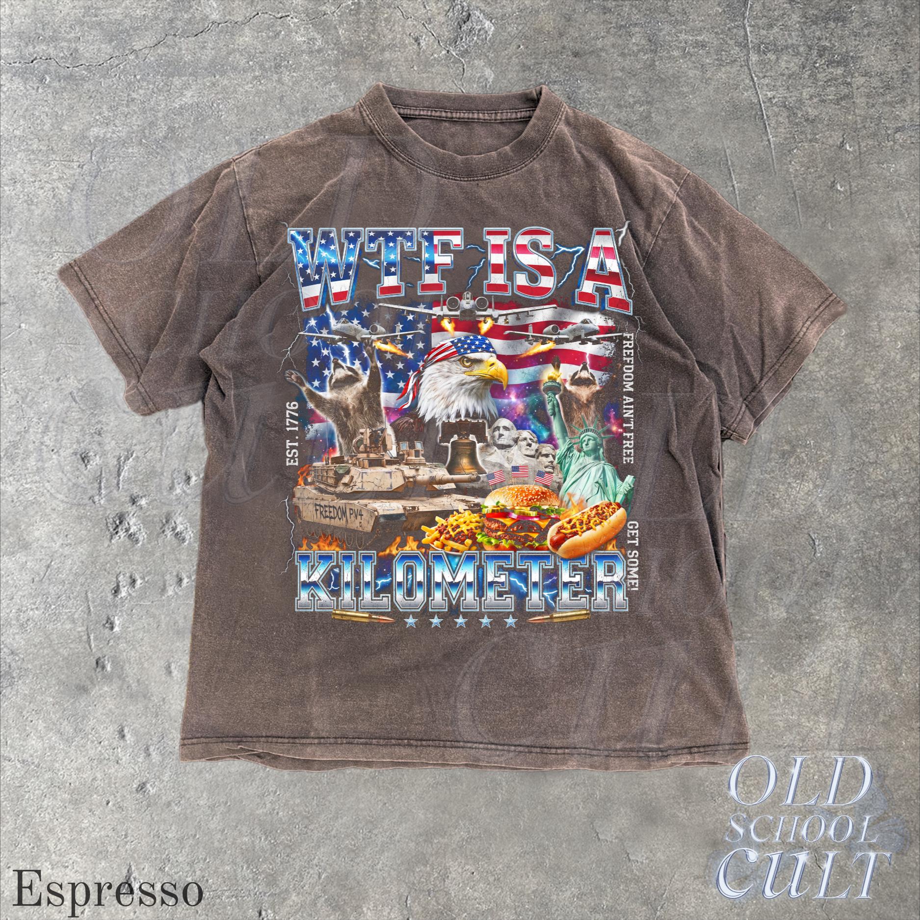 Wtf Kilometer Usa Patriotic Vintage American Eagle Meme 4th July Retro Freedom (4)