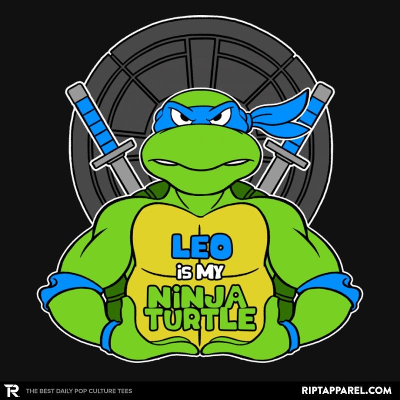 Leo is my Turtle (My Blue Ninja Turtle)