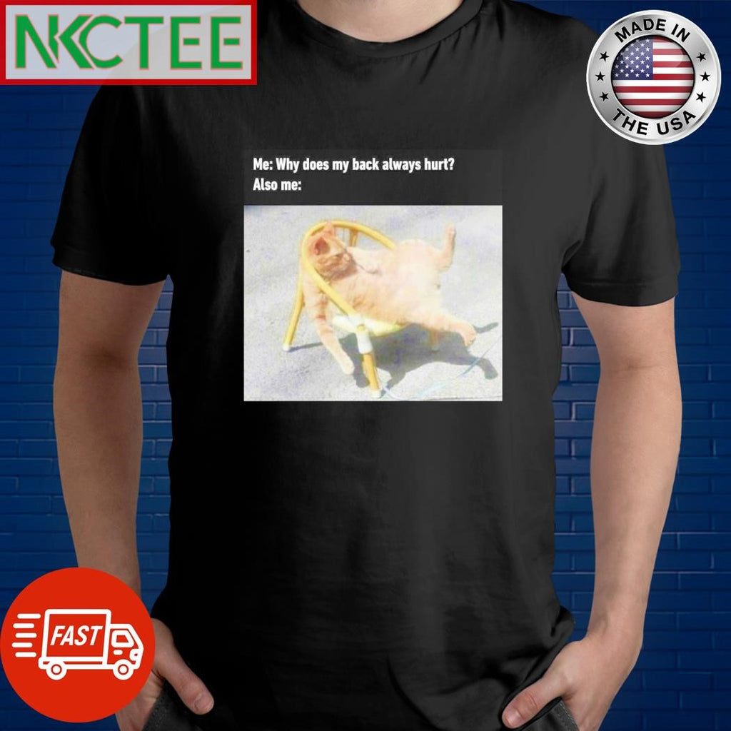 Awesome Me Why does my back always hurt Also me cat shirt