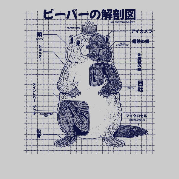Beaver Anatomy