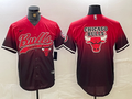 Chicago Bulls NBA Collaboration