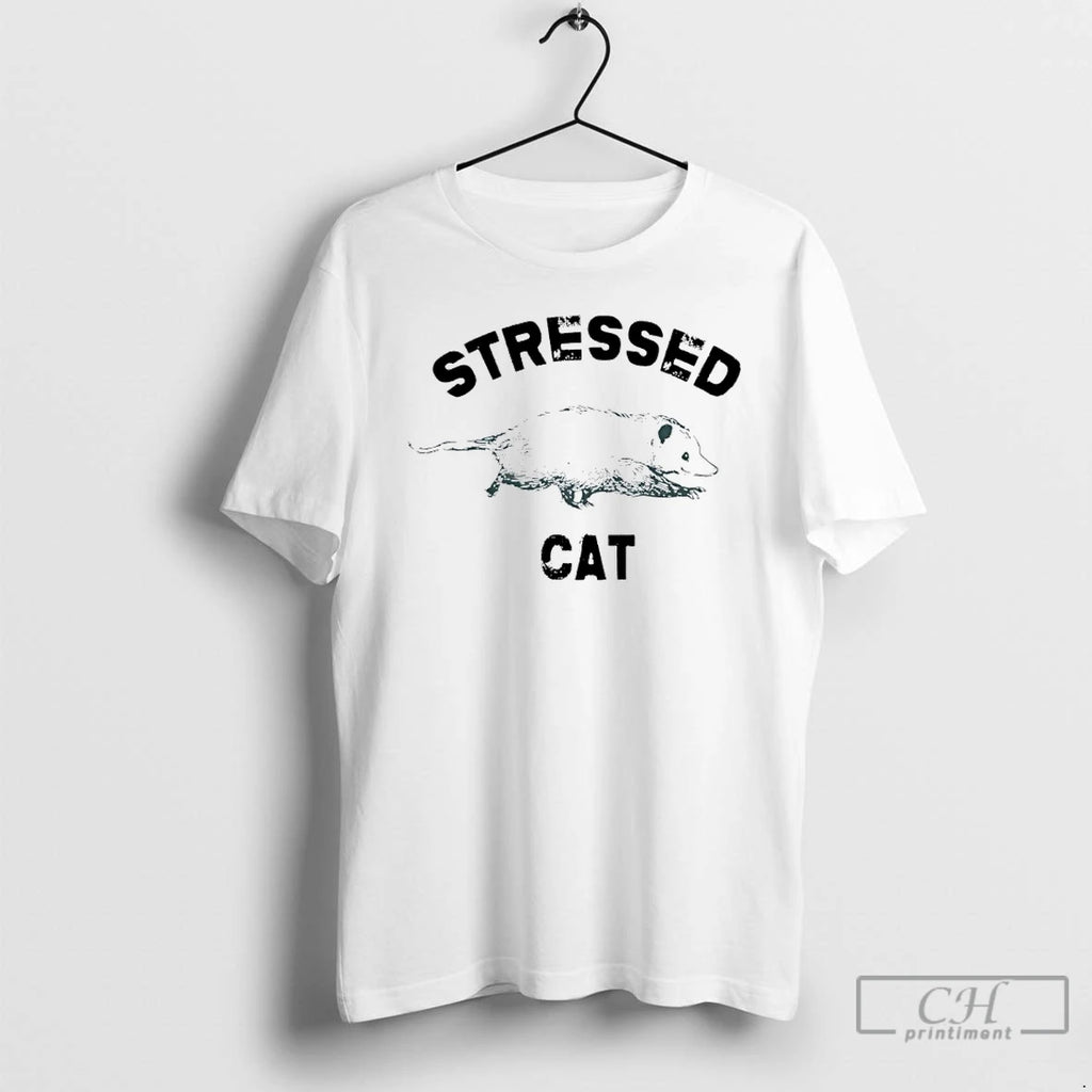 Classic Stressed Cat Opossum Meme