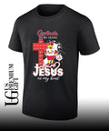 Fredbird St Louis Cardinals cross in my veins Jesus in my heart 2026 mascot shirt