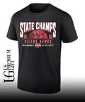 Hiland Hawks 2026 OHSAA Boys Basketball D6 State Champions shirt