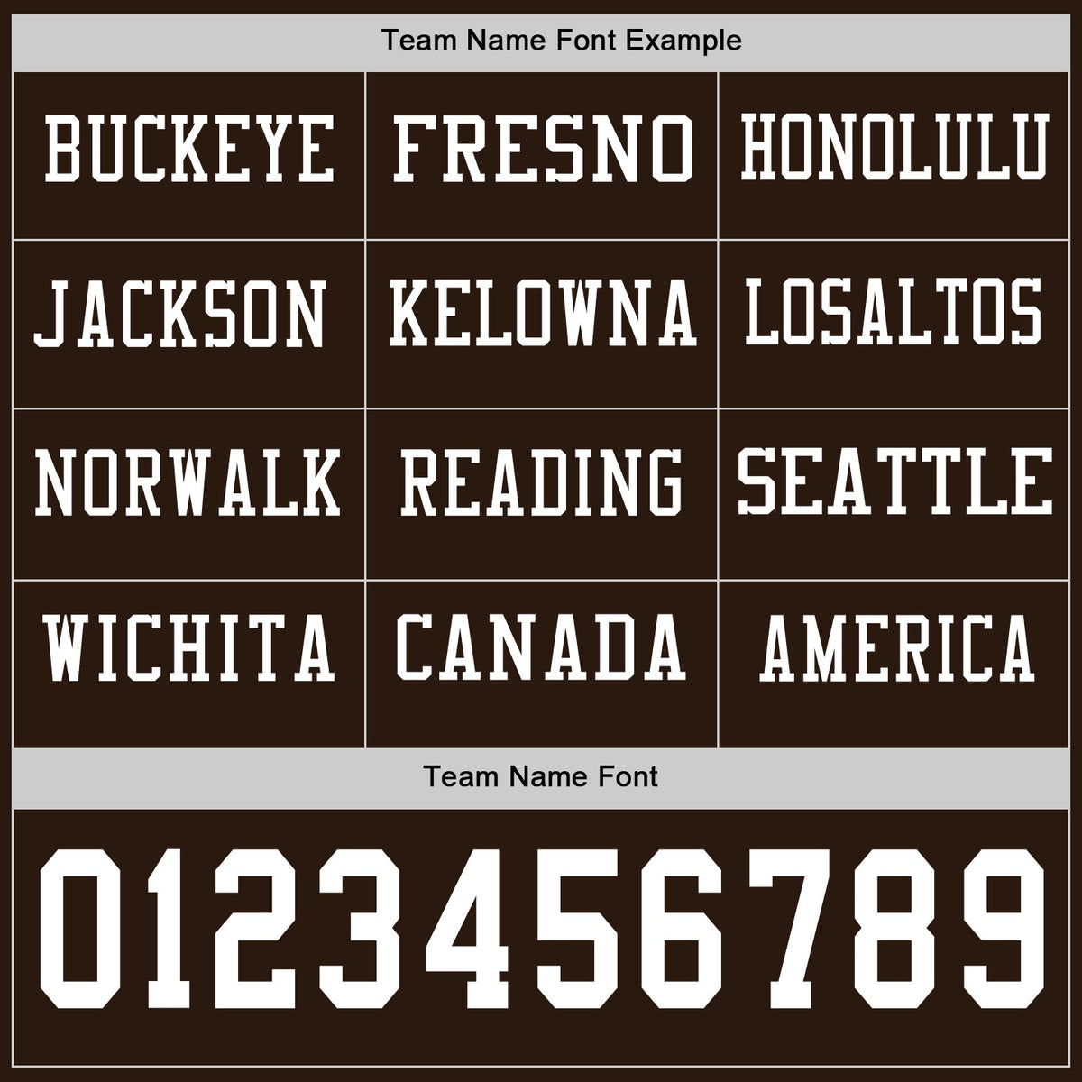 Custom Brwon White Long Sleeve Authentic Football Jersey
