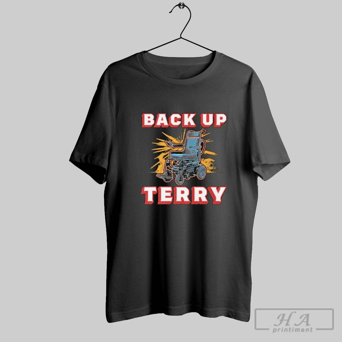 Official Back Up Terry Wheelchair