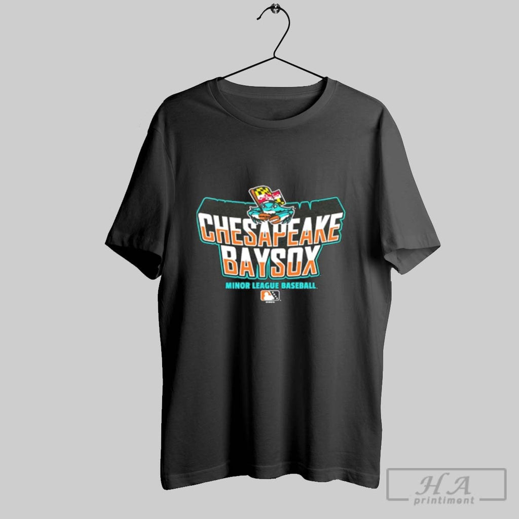 Official Chesapeake Baysox Minor League Baseball Logo