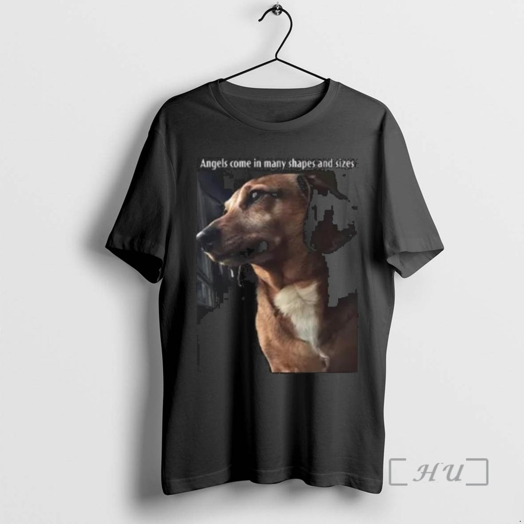 Officials Angels Come In Many Shapes And Sizes Frankie Circle Black Premium T Shirts Sweater