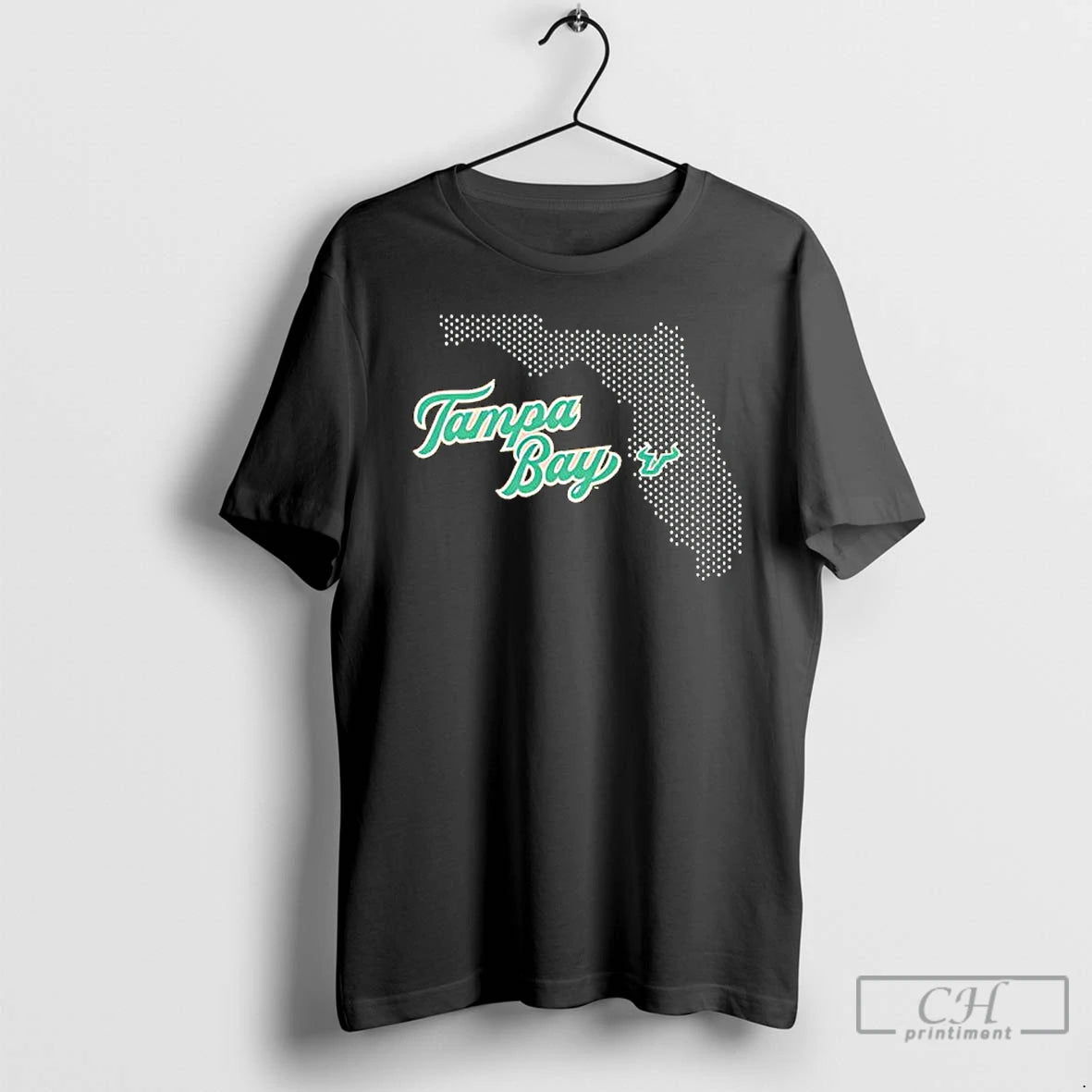 Premium Tampa Bay State South Florida Mesh Map