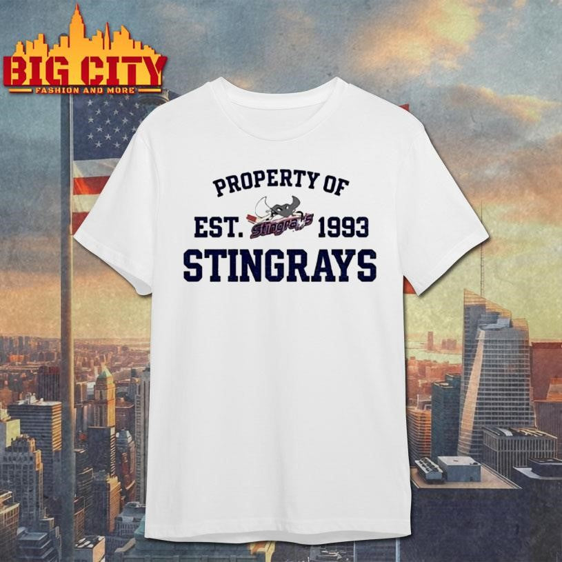 Property Of Stingrays Est 1993 Logo Vintage Shirt