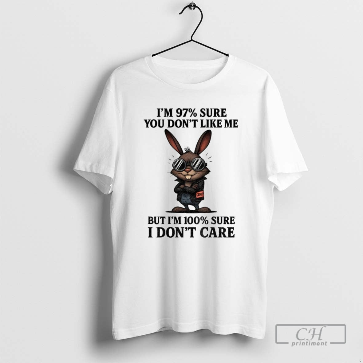 Rabbit Im 97 Sure You Dont Like Me But Im 100 Sure I Dont Care