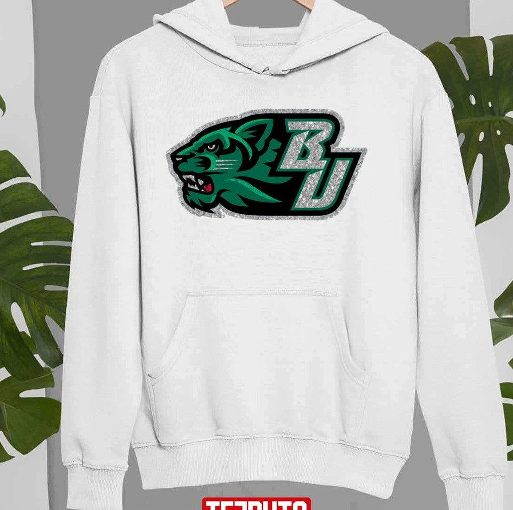 Binghamton Logo Unisex Sweatshirt -