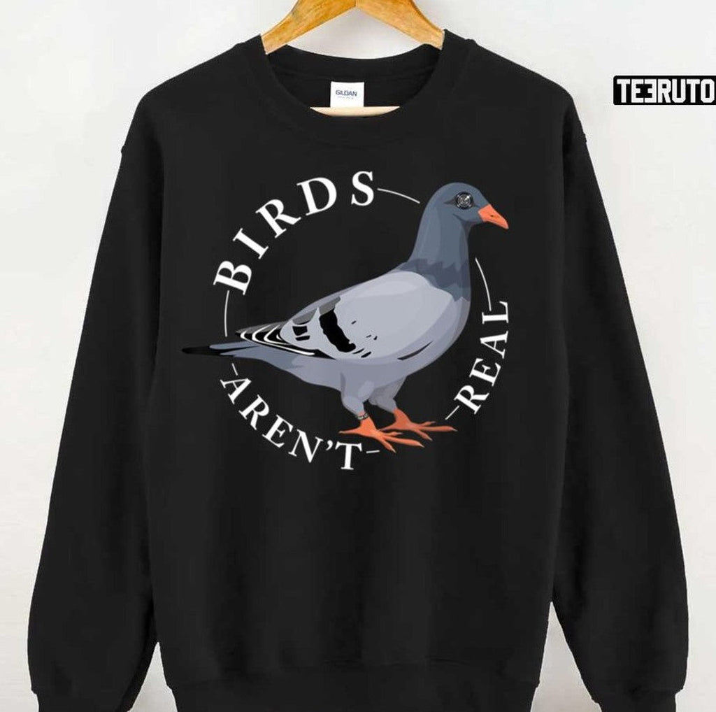 Birds Arn't Real Spies In The Sky Camera Eye Bird Conspiracy Unisex Hoodie