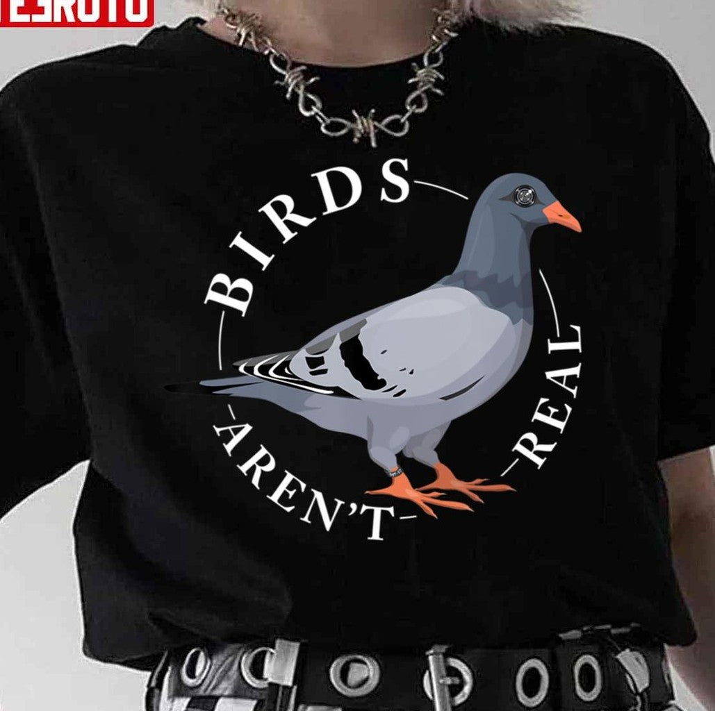 Birds Arn't Real Spies In The Sky Camera Eye Bird Conspiracy Unisex Hoodie