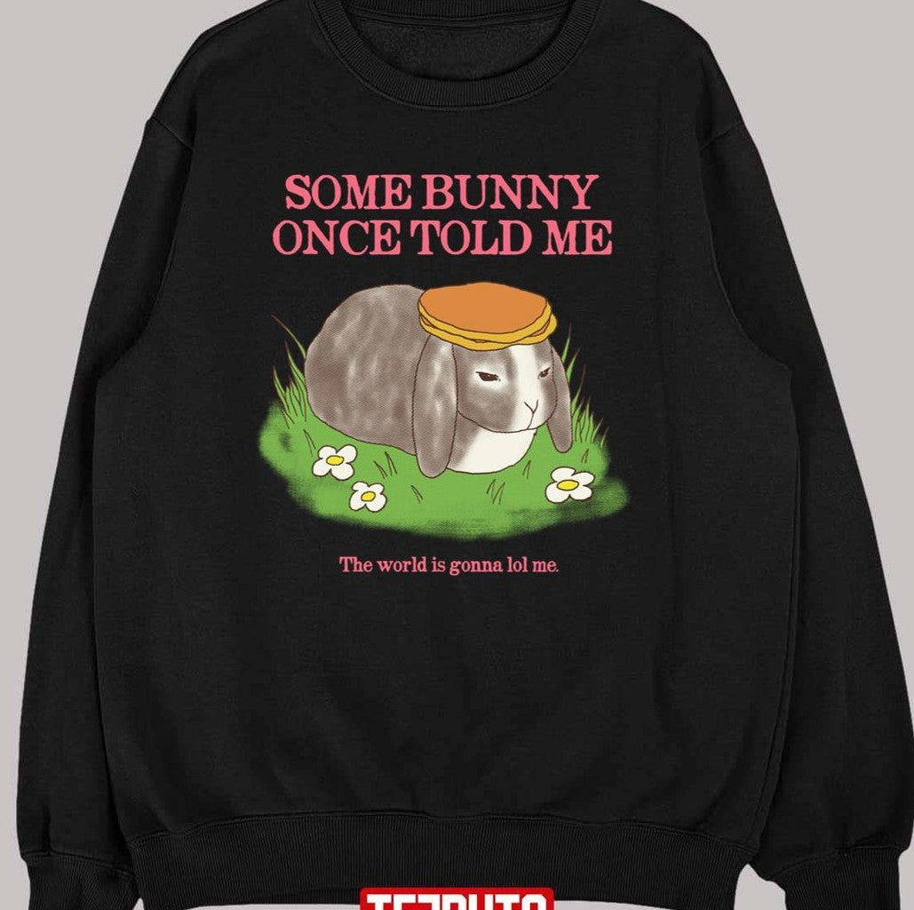 Some Bunny Once Told Me The World Is Gonna Lol Me Cute Bunny Unisex T-shirt