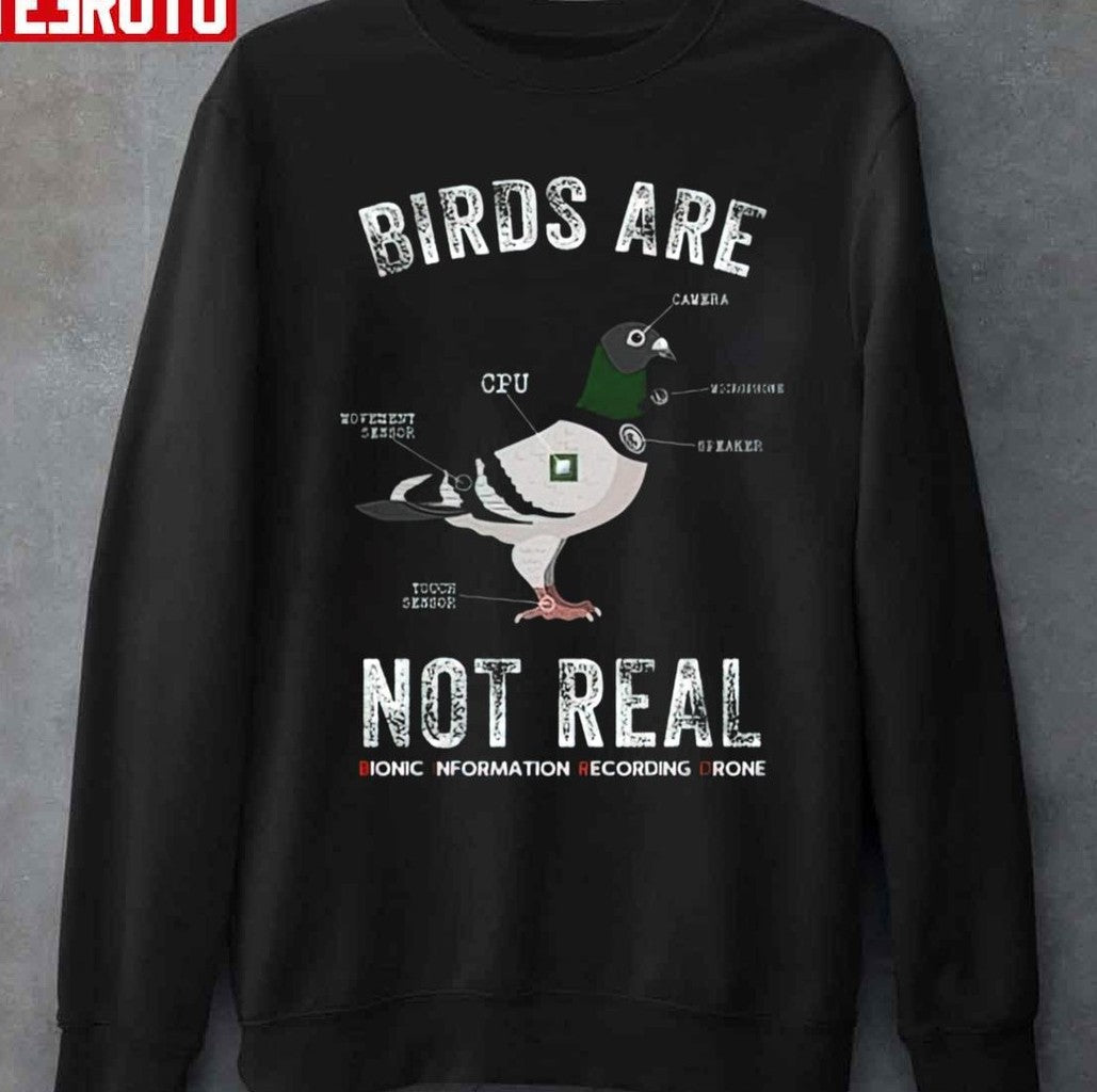 Birds Are Not Real Drone Conspiracy Theory Unisex Sweatshirt
