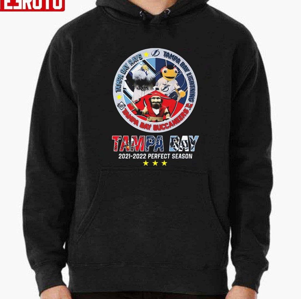 Perfect Season Tampa Bay Rays Tampa Bay Lightning And Tampa Bay Buccaneers Unisex T-Shirt