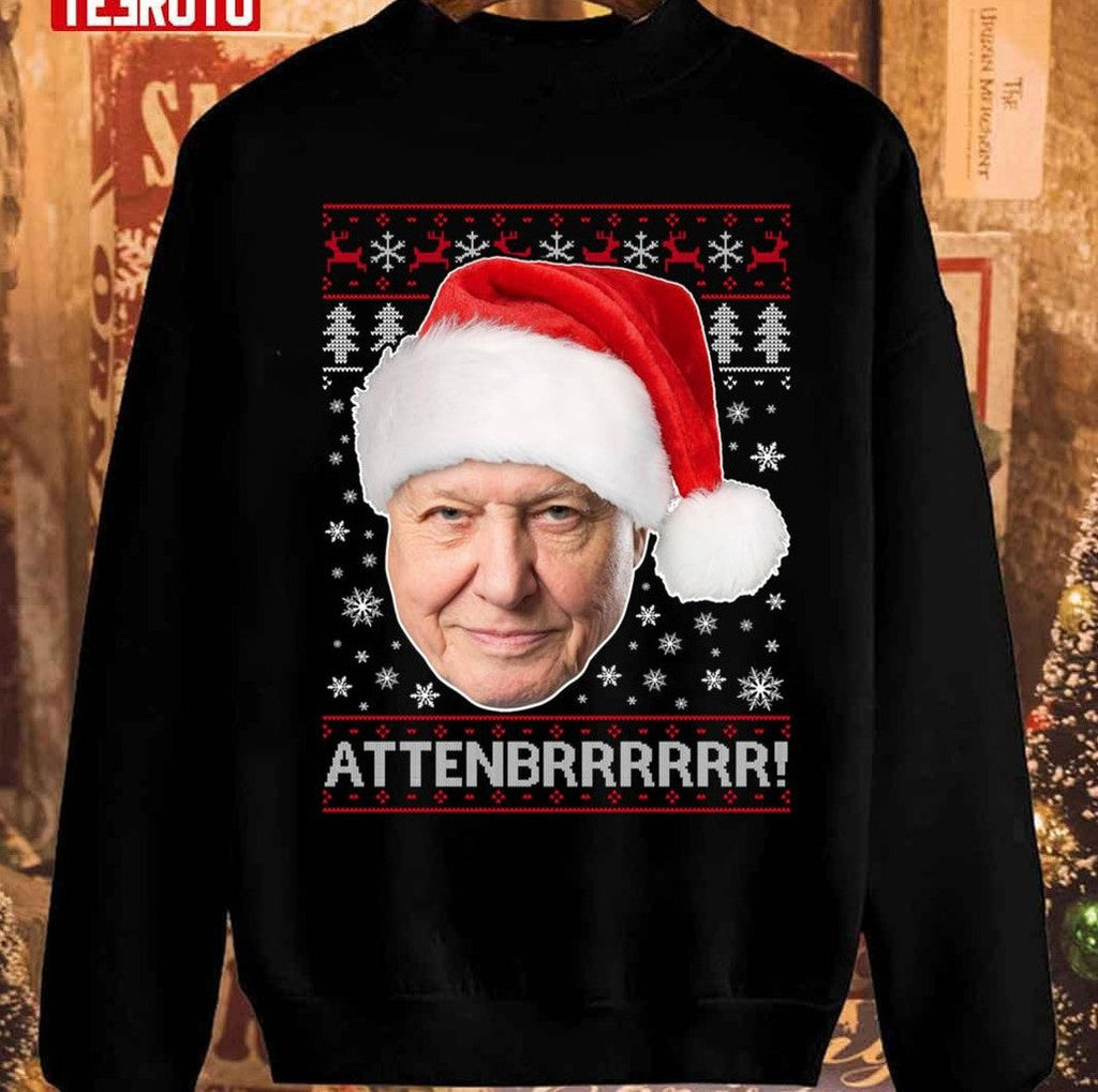 Attenbrrrrrr David Attenborough Christmas Pattern Unisex Sweatshirt