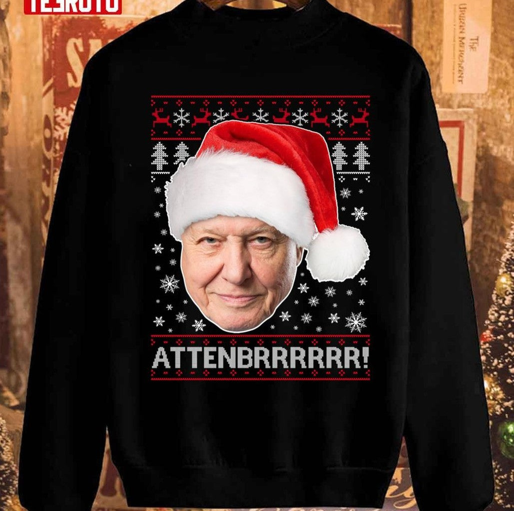 Attenbrrrrrr David Attenborough Christmas Pattern Unisex Sweatshirt