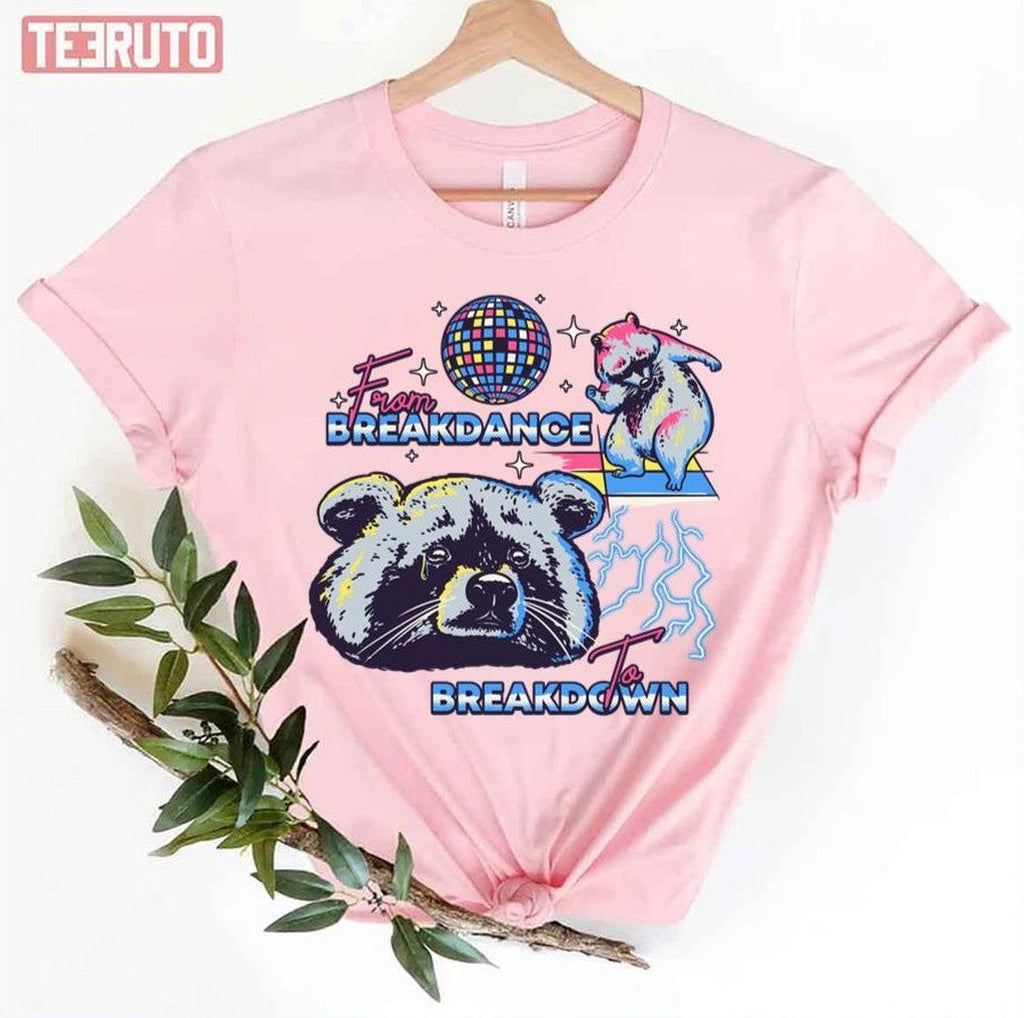 Raccoon Meme From Breakdance To Breakdown Unisex T-Shirt