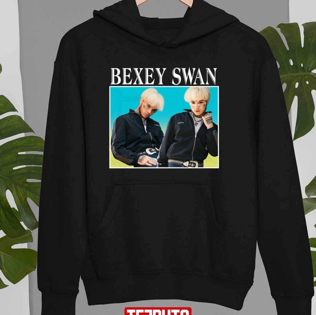 Bexey Swan Farbverlauf Unisex T-Shirt