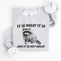 It Is What It Is And It Is Not Great, Raccoon, Funny, Aesthetic Sweatshirt