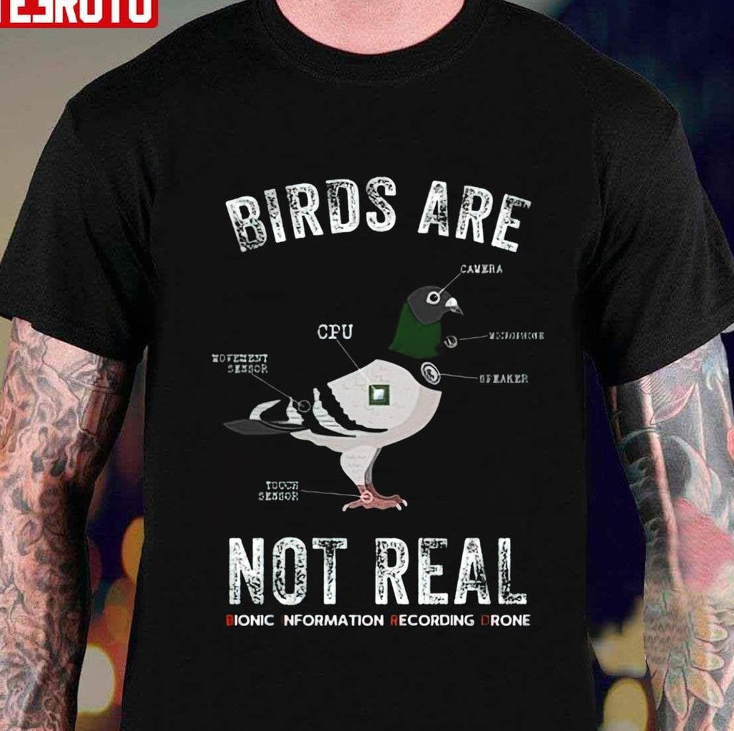 Birds Are Not Real Drone Conspiracy Theory Unisex Sweatshirt