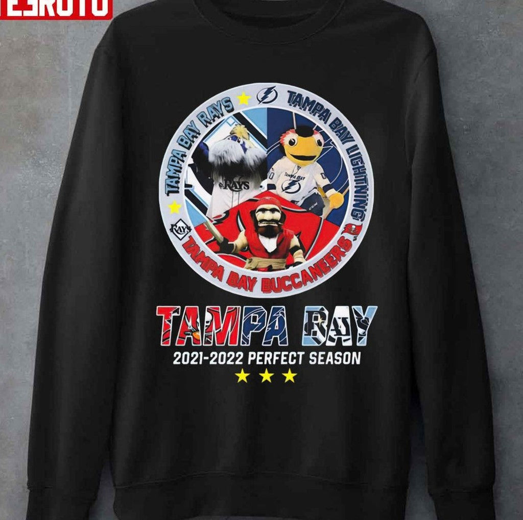 Perfect Season Tampa Bay Rays Tampa Bay Lightning And Tampa Bay Buccaneers Unisex T-Shirt