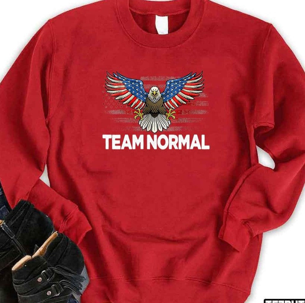Team Normal Eagle America Flag Unisex T-Shirt