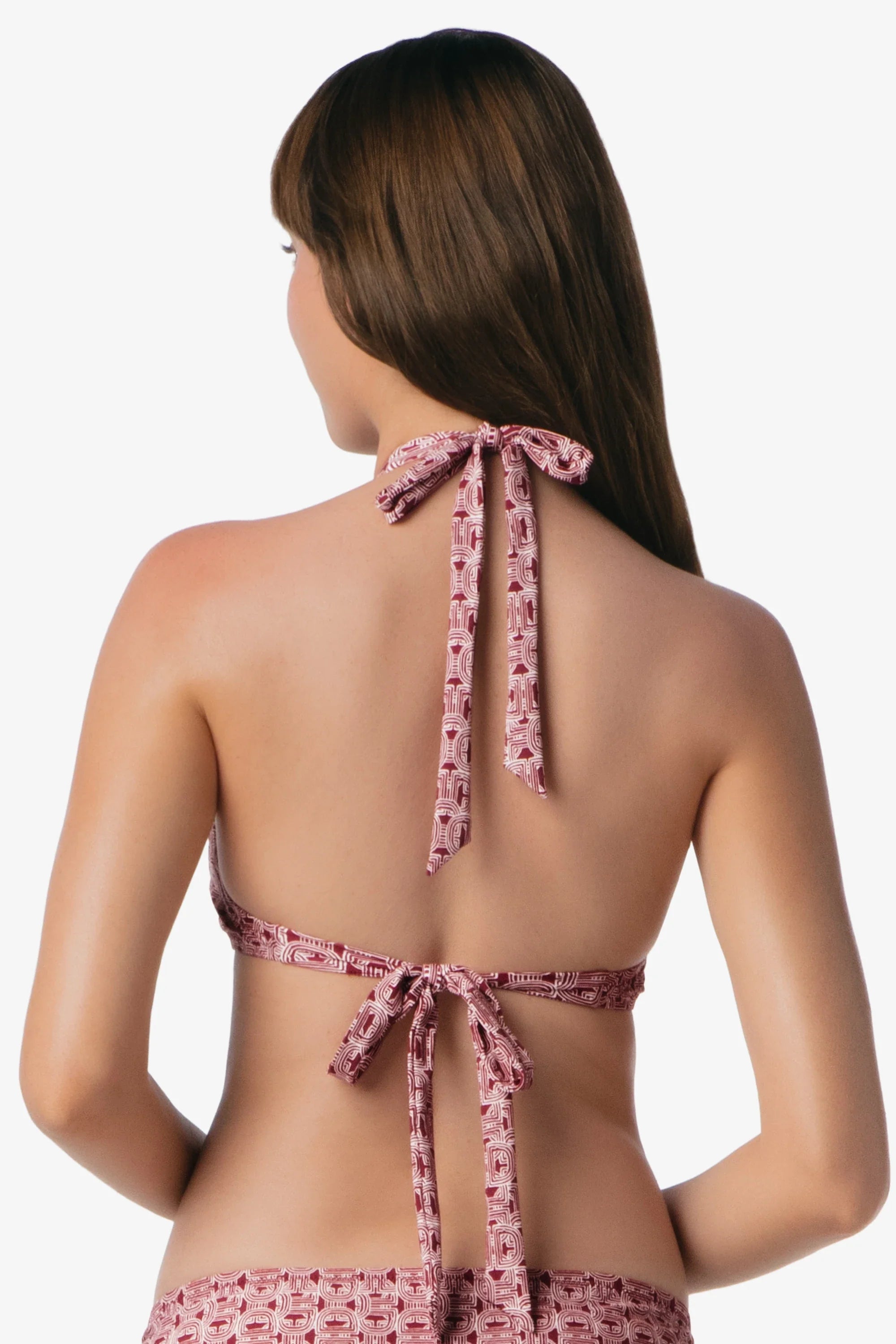 Tortoise Halter  |  Links