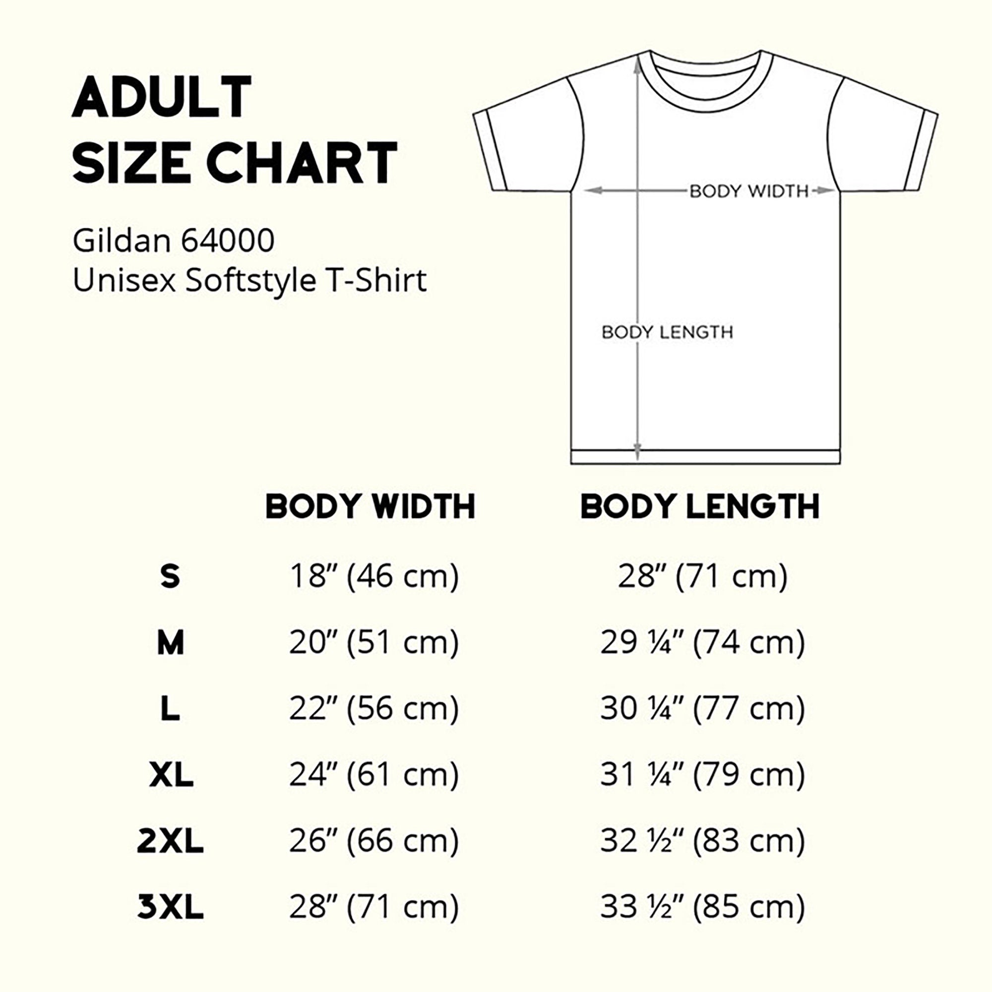 F22 shirt, F-22 Raptor Shirt, F22 Raptor Tshirt, USAF Aviation Military Tee, Fighter Jet T-Shirt, Stealth Jet Tee, Airshow Tee