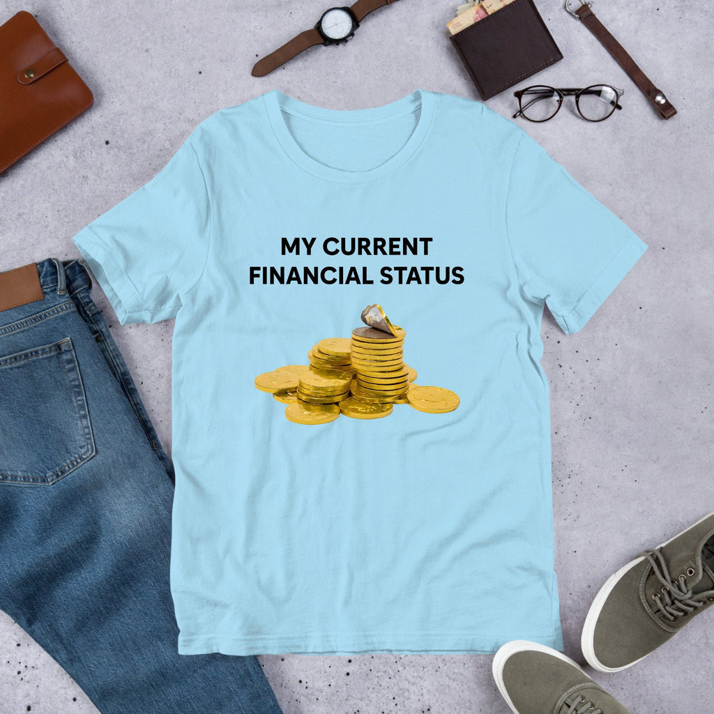 My Current Financial Status, Funny Meme Shirt, Weirdcore Clothing, Oddly Specific, Unhinged Shirt, Sassy Shirt, Sassy Food Meme