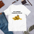 My Current Financial Status, Funny Meme Shirt, Weirdcore Clothing, Oddly Specific, Unhinged Shirt, Sassy Shirt, Sassy Food Meme