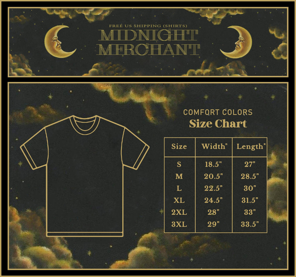 Mojave 3 Shirt, Sheogaze band tees, Comfort colors tshirts, 90s band tshirts, Mojave 3 graphic tee, Retro graphic tee, trendy shirts, Unisex