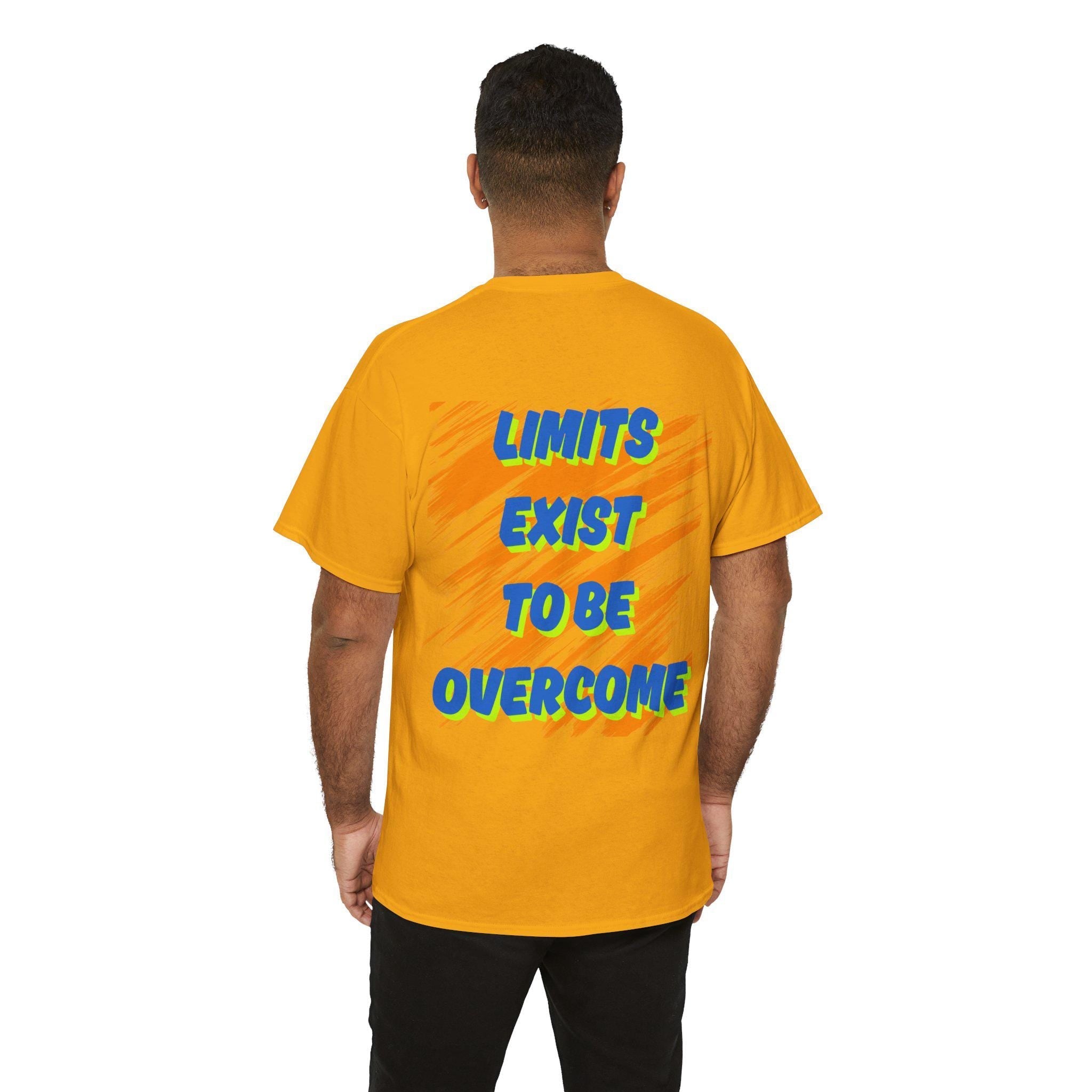 Gym Motivation Shirt - heavy weight t shirt , lift heavy pet dogs shirt , online fitness , monday motivation , industrial strength