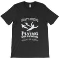 flying grayson nightwing T-Shirt