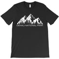 Denali National Park Denali Alaska Mountain Gift T-Shirt