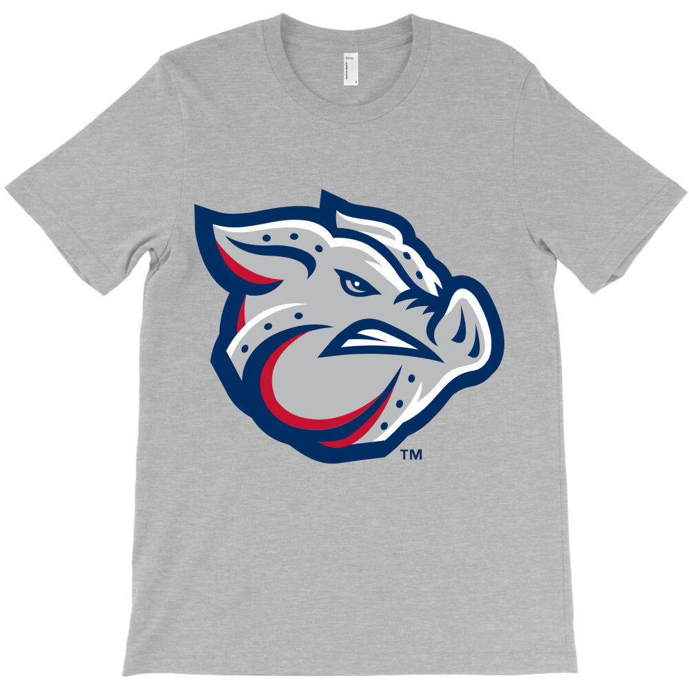 the-lehigh-valley-ironpigs T-Shirt