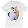 Chonky Ben Meme Huh Cat T-Shirt