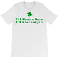 Shenanigan Fun Hilarious St Patricks Day T-Shirt