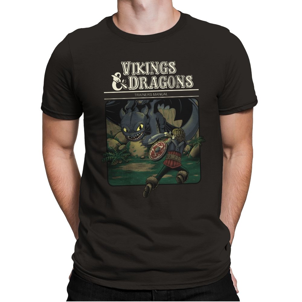 Vikings And Dragons