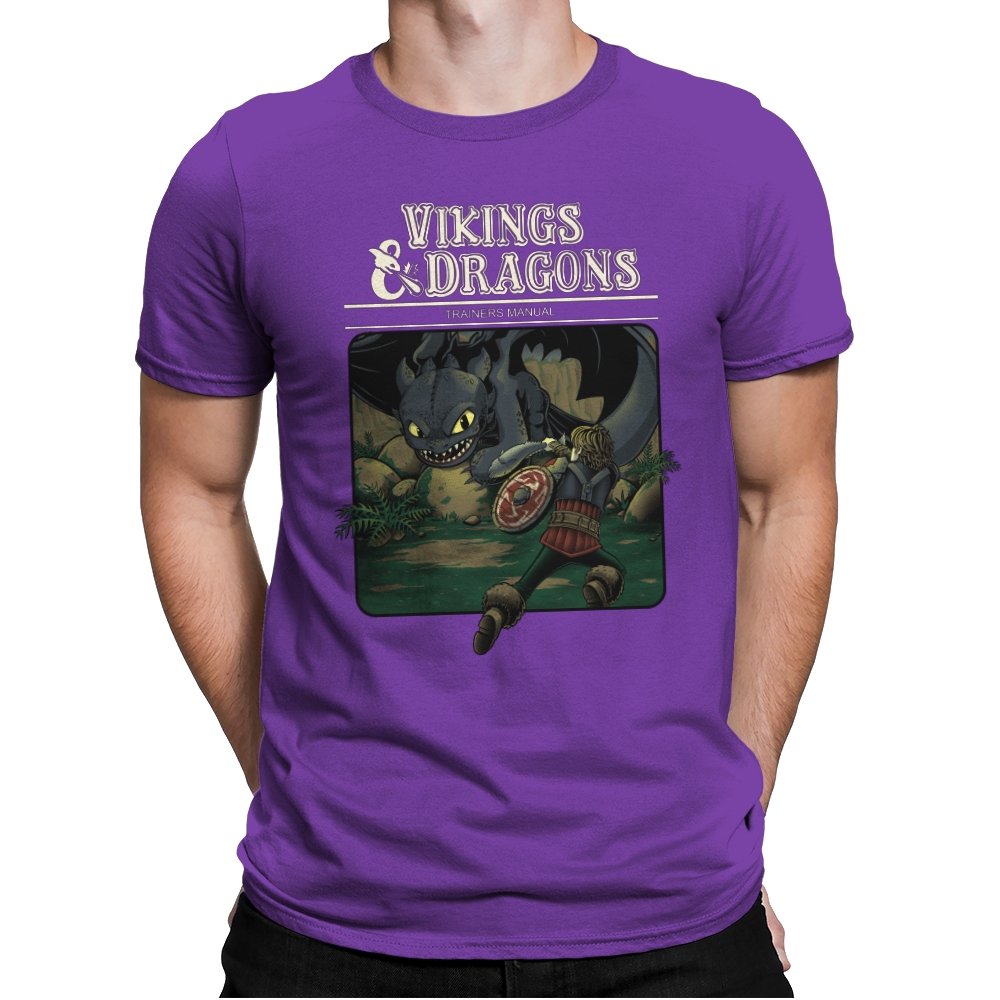 Vikings And Dragons