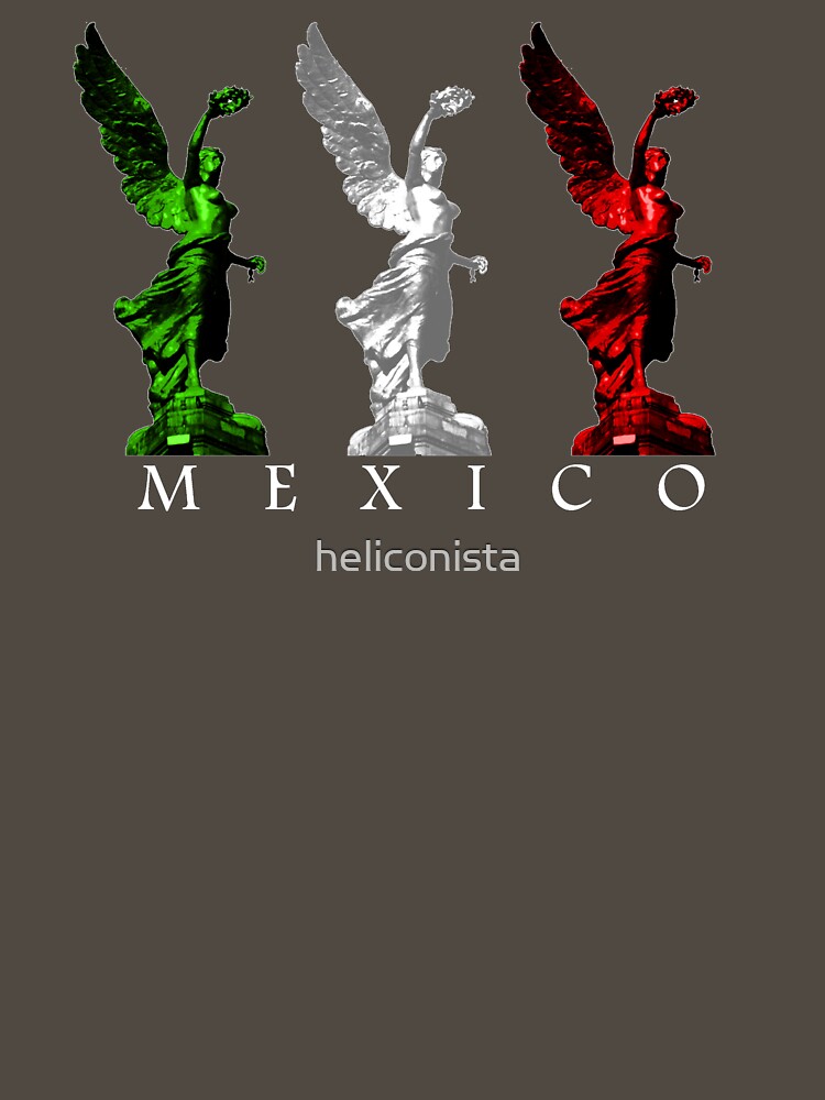 Angel of Mexico by heliconista