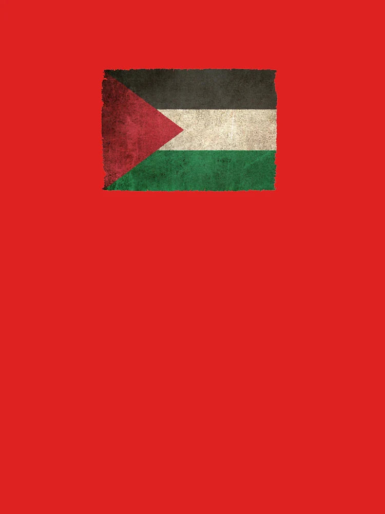 Old and Worn Distressed Vintage Flag of Palestine Classic T-Shirt