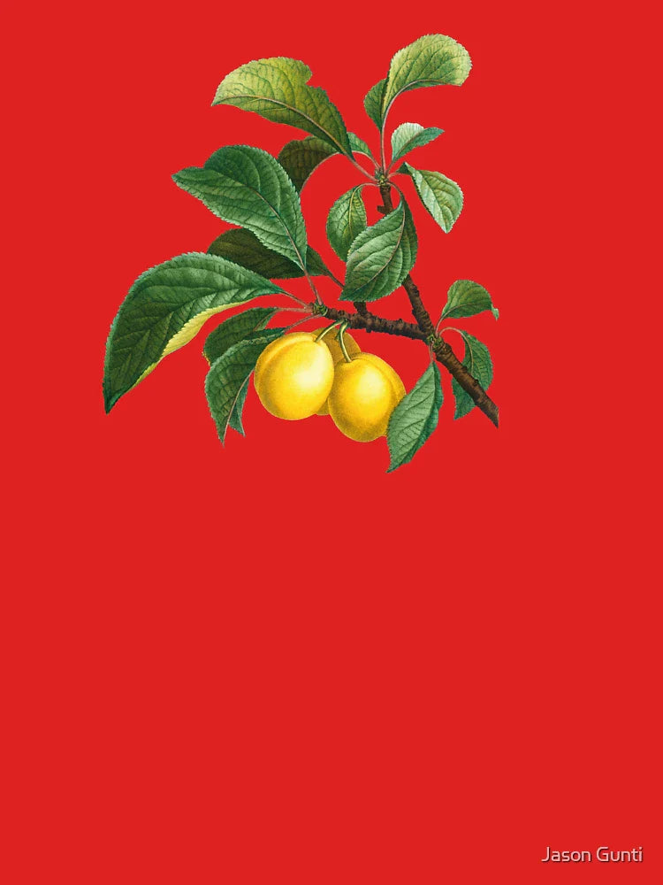 Vintage Style Yellow Plum Branch Classic T-Shirt