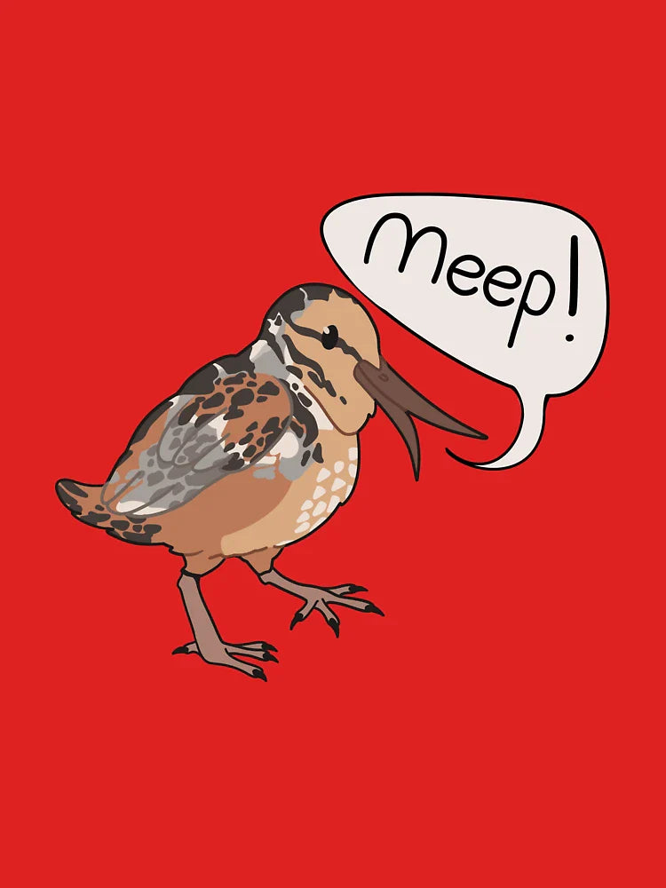 The american woodcock Classic T-Shirt