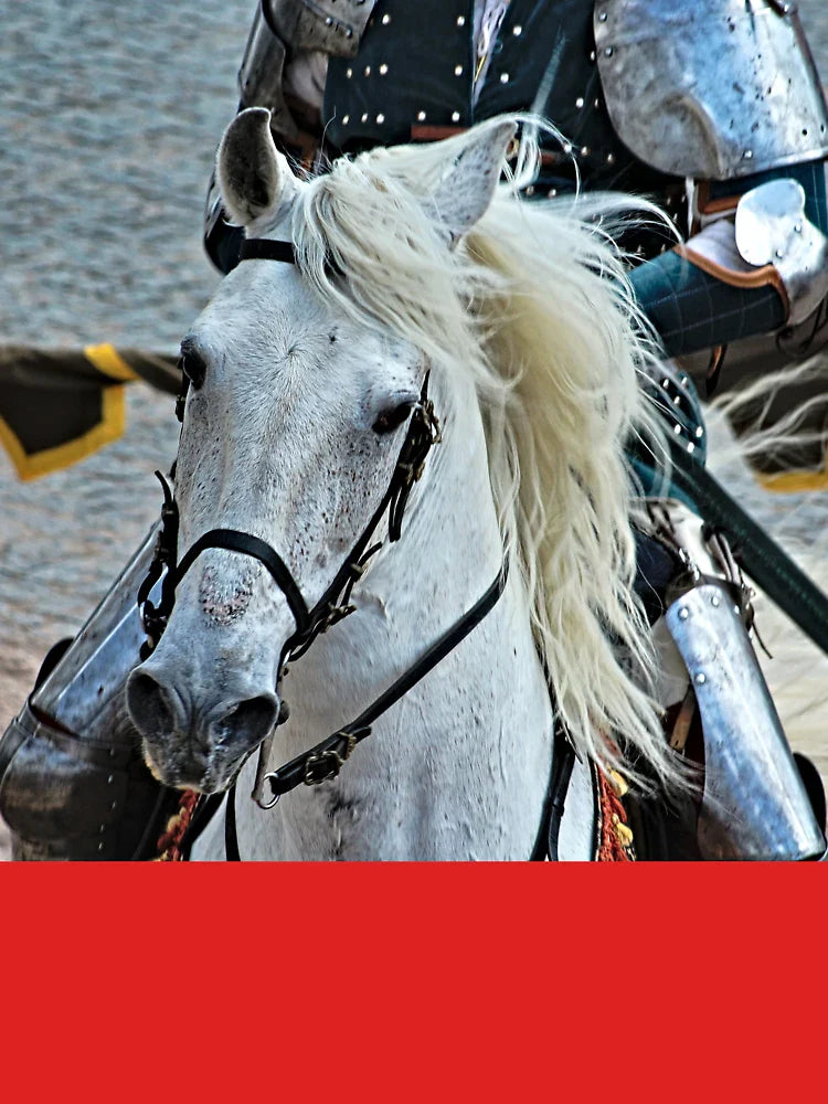 Medieval Tournament Horse and Knight Closeup Classic T-Shirt