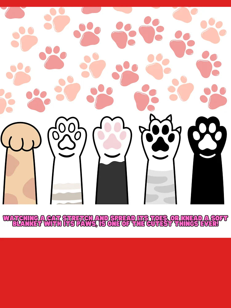 Meowgical Paws Classic T-Shirt